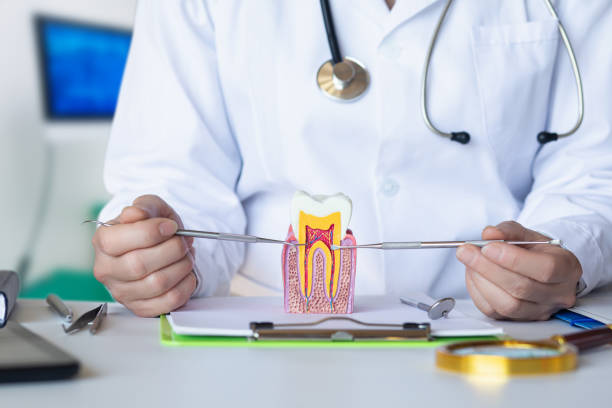 Best Knocked-Out Tooth (Avulsed Tooth) Treatment in Queens Gate, PA